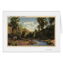 View of Palm Springs Canyon Greeting Cards