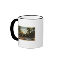 View of Palm Springs Canyon Mug