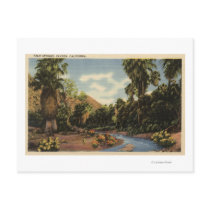 View of Palm Springs Canyon Post Card