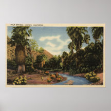View of Palm Springs Canyon Print