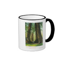 View of Redwood Twins at Big Tree Grove Mugs