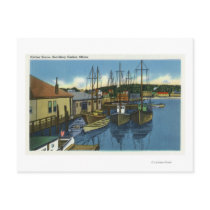 View of Sailboats Docked in the Harbor Post Cards