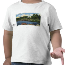 View of Spruce Point Tees