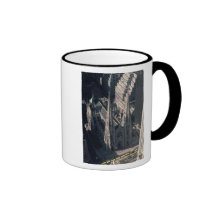 View of St. Patrick's Cathedral Coffee Mugs