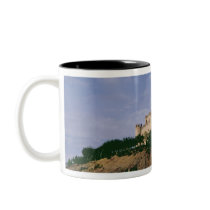 View of the castle coffee mug
