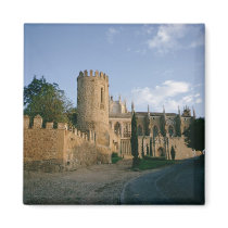 View of the city refrigerator magnet
