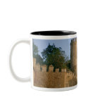 View of the city mugs