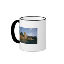 View of the city mugs