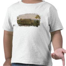View of the Colosseum from the Palatine Hill T Shirts