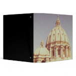 View of the dome, 1546-93 vinyl binders