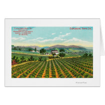 View of the Giersberg VineyardNapa, CA Greeting Card