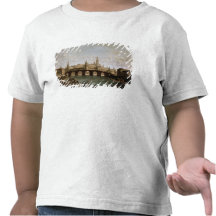 View of the Kremlin and the Kamenny Bridge T-shirts