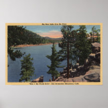 View of the Lake through the Pines Print