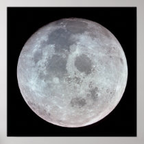 View of the Moon from Apollo 11 Print
