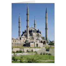 View of the mosque, Ottoman, built c.1569-75 Greeting Card