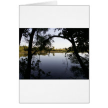 View of the pond card
