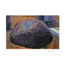 View of the Real Plymouth Rock Postcards