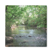 View of the River magnets