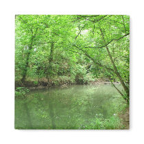 View of the River magnets