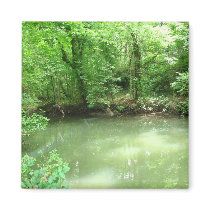 View of the River magnets