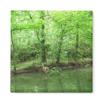 View of the River magnets