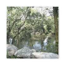 View of the River magnets