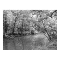 View of the River posters