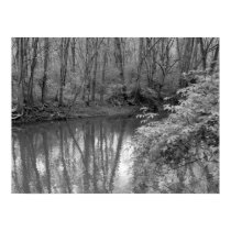 View of the River posters