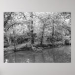 View of the River posters
