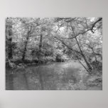 View of the River posters