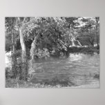 View of the River posters