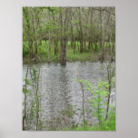 View of the River Poster