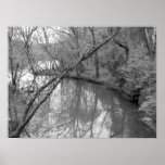 View of the River posters