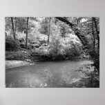 View of the River posters