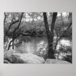 View of the River posters