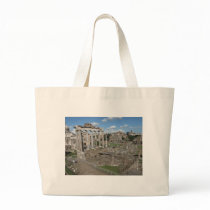 View of the Roman Forum of 179 AD bags