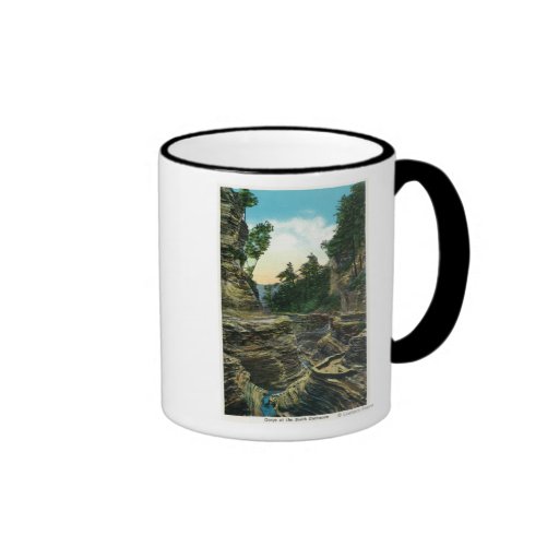 View of the Southern Entrance Gorge Coffee Mugs