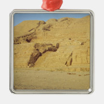 View of the steps, terraces christmas ornament