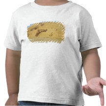 View of the steps, terraces t shirt