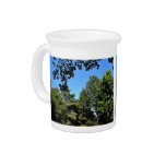 View of trees in forest drink pitchers