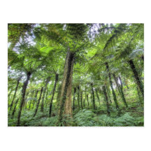 View of vegetation in Bali Botanical Gardens, Postcards