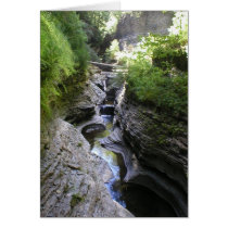 View of Watkin's Glen cards by ginnysanchez View of Watkin's Glen cards
