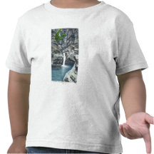 View of Whispering Falls T Shirts