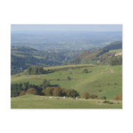 View over Orcival postcard