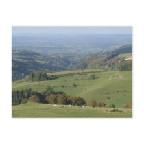 View over Orcival Post Cards