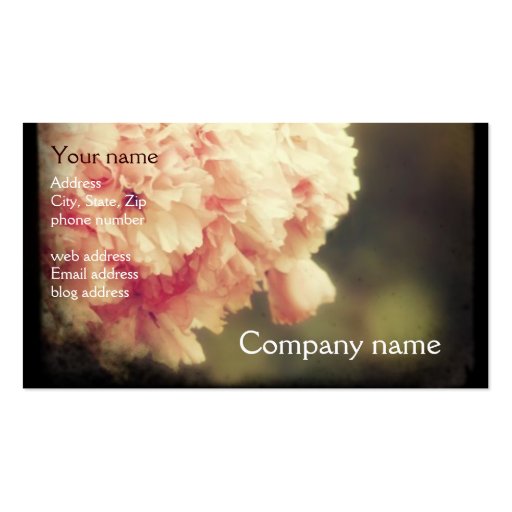 Viewfinder Profile Card Business Cards (front side)
