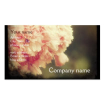 Viewfinder Profile Card business cards