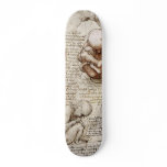 Views of a foetus in the womb. skate board