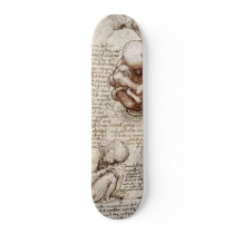 Views of a foetus in the womb. skate board