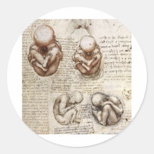 Views of a Foetus in the Womb Stickers